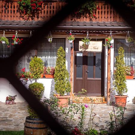 Agropensiunea Casa Nica Margineni  Exterior foto