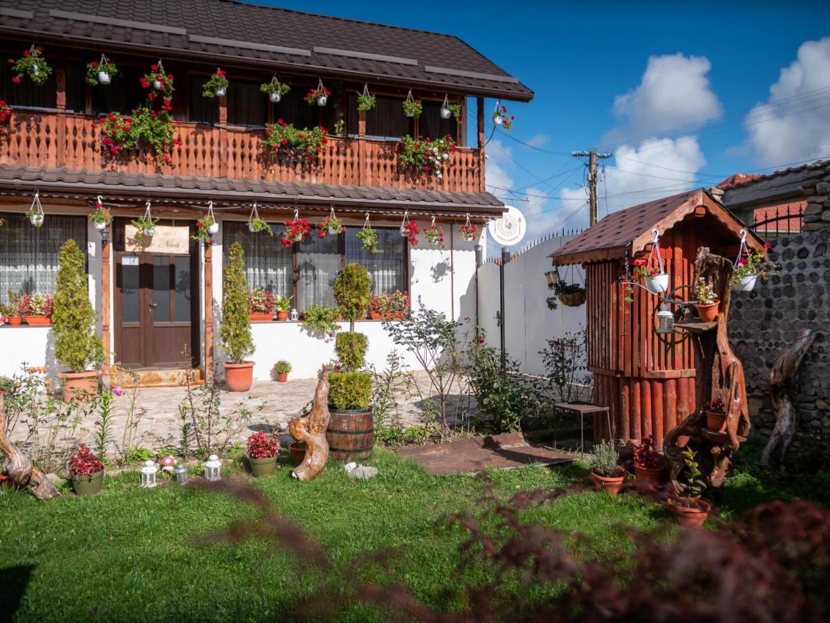 Agropensiunea Casa Nica Margineni  Exterior foto