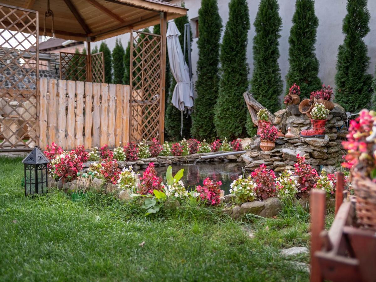 Agropensiunea Casa Nica Margineni  Exterior foto