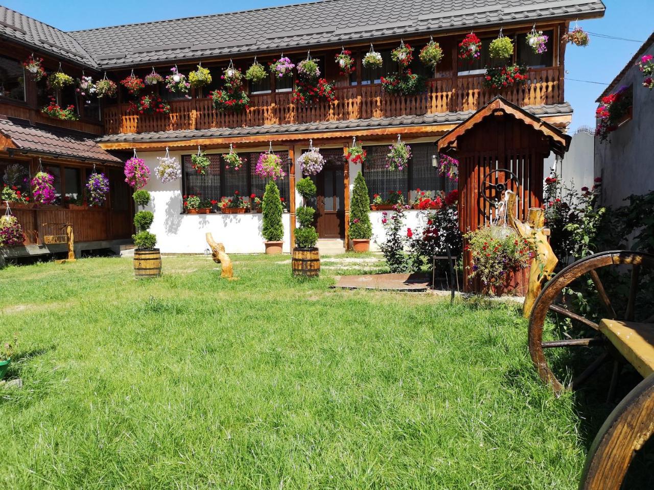 Agropensiunea Casa Nica Margineni  Exterior foto