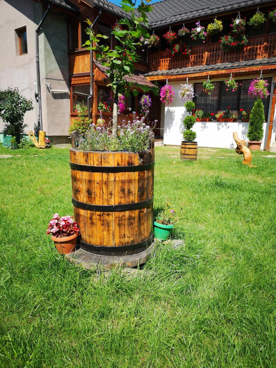 Agropensiunea Casa Nica Margineni  Exterior foto