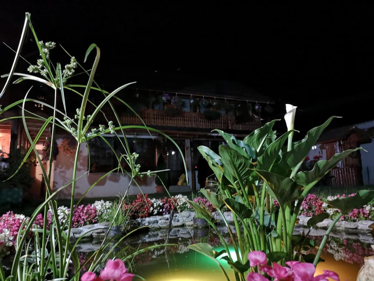 Agropensiunea Casa Nica Margineni  Exterior foto